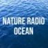 Детское радио Нижний Новгород 99.1 FM