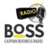 VFM Radio Выборг 93.1 FM