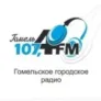 Гомельское городское радио Гомель 107.4 FM